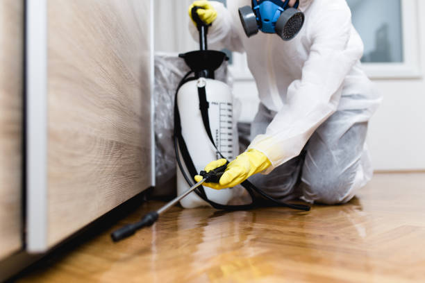 Professional Pest Control in Chelsea, AL