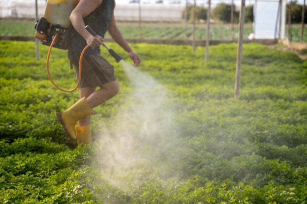 Best Pest Control Near Me  in Chelsea, AL