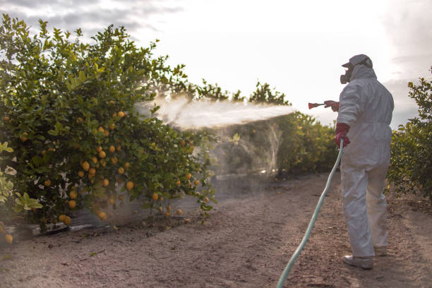 Best Residential Pest Control  in Chelsea, AL