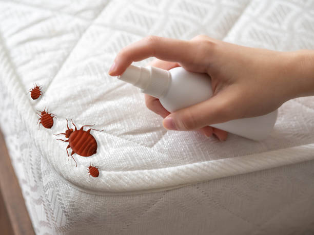 Best Bed Bug Extermination  in Chelsea, AL