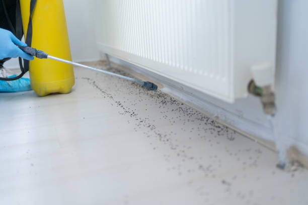 Best Wildlife Control Services  in Chelsea, AL