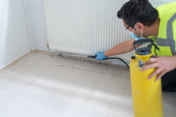 Best Rat Extermination Near Me  in Chelsea, AL